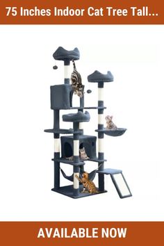 a cat tree with several cats in it and the caption reads 75 inches indoor cat tree tall available now