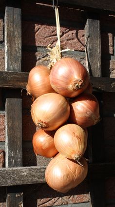 onions are hanging from a wooden rack in front of a brick wall with wood slats