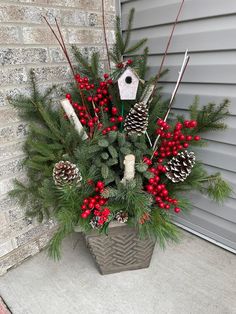 a potted plant with pine cones and berries