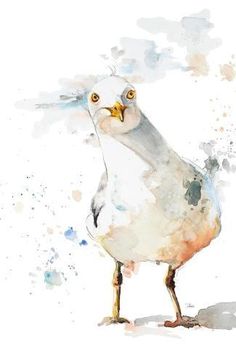 a watercolor painting of a white bird with yellow eyes