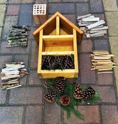 several pine cones are placed on the ground next to a birdhouse and other items