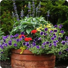 a large pot filled with lots of colorful flowers