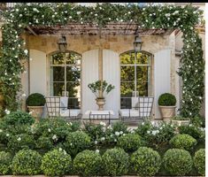 an outdoor patio with potted plants and chairs in front of the windows, surrounded by greenery