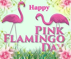 happy pink flamingo day greeting card with flowers and birds in the grass, on a green background