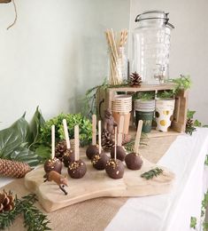 chocolate covered candies on a table with pine cones and greenery in the background