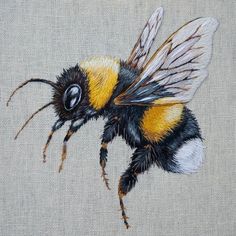 a close up of a bee on a piece of cloth with black, yellow and white stripes