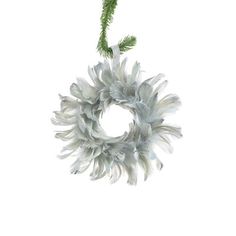 Illuminate your holidays with our cool white LED which is an excellent addition to anyone's Christmas decor collection. The Holiday Aisle® | The Holiday Aisle® 9" Feather Wreath 9.0 H x 9.0 W x 3.0 D in brown / whiteFeather in Silver | 9" H X 9" W X 3" D | Wayfair Decorated Wreaths, Feather Wreath, Summer Front Door Wreath, Wreath Hanger, Contemporary Room, Metal Wreath, Holiday Wreath, Hanging Wall, Fall Harvest