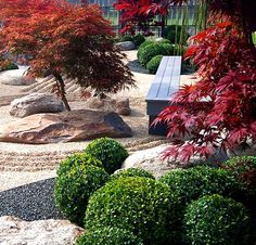 an outdoor garden with rocks, trees and bushes in the foreground is a bench surrounded by red leaves