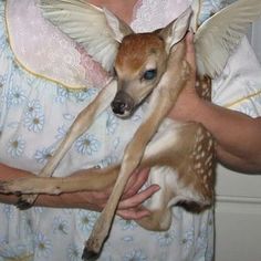 a woman holding a baby deer in her arms with an angel wings on it's back