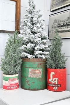 three tin cans with trees in them sitting on a table