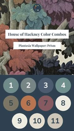 the house of hackney color combos