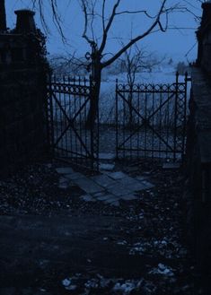 an old gate is open on a gloomy day