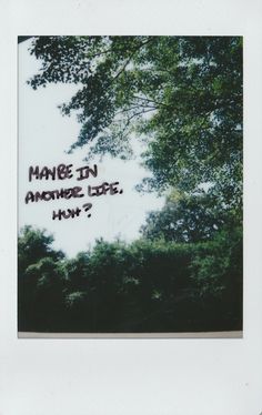 a polaroid photograph with the words mane in another side how? written on it