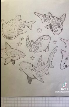 a drawing of different types of sharks and stars on a piece of paper with a ruler next to it