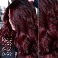 Schwarzkopf Red Formulas, Wine Hair Color Formula, Igora Royal Red Formulas, Schwarzkopf Hair Color Formulas, Schwarzkopf Color Formulas, Igora Formulas, Red Hair Formulas, Igora Hair Color, Pelo Color Borgoña