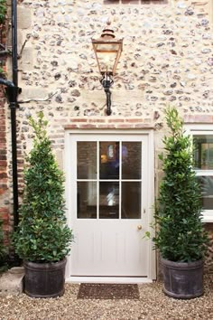 two large potted plants are next to a white door and brick building with windows