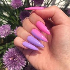 Matte Purple Nails, Purple And Pink Nails, Purple Nail Art Designs, Bright Summer Acrylic Nails, Unghie Nail Art, Purple Nail Art, Pink Ombre Nails, Square Nail Designs, Purple Nail Designs