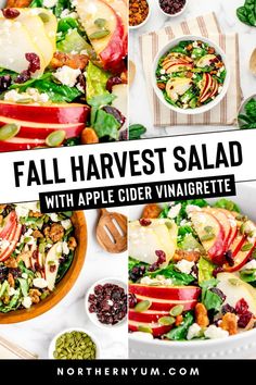 Fall Harvest Salad Salad With Apple Cider Vinaigrette, Fall Harvest Salad, Apple Cider Vinaigrette, Cider Vinaigrette, Fall Meals, Harvest Salad, Cranberry Cheese, Romaine Lettuce Salad, Cinnamon Recipes