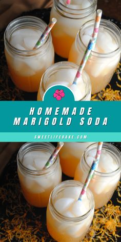 Homemade Marigold Soda. Natural Soda Recipe, Making Soda At Home, Homemade Sprite Soda, Infused Simple Syrup, Diy Soda, Sugar Skull Cakes