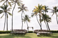 an outdoor ceremony setup with chairs and palm trees