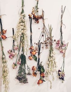 dried flowers laid out on a white surface