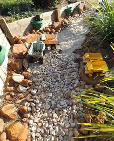 there is a small garden with rocks and plants