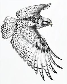 a drawing of an eagle flying in the sky