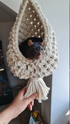 a rat in a crocheted hammock being held by someone's hand