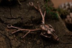 a small frog sitting on top of a tree branch next to some pineconis