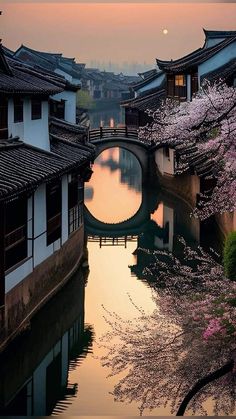 Japan Pictures Aesthetic, China Wallpaper Iphone, Japan Aesthetic Wallpaper Iphone, Japan Places Aesthetic, Asian Wallpaper Aesthetic, China Wallpaper Aesthetic, Japan Nature Aesthetic, Japan Photography Aesthetic, Japon Aesthetic