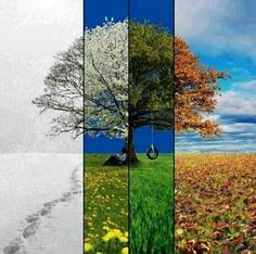 four different pictures with the words everything has its own season