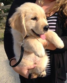 a woman holding a puppy in her arms