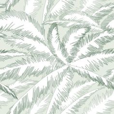 a drawing of leaves on a white and green wallpaper pattern, with lines drawn in the background