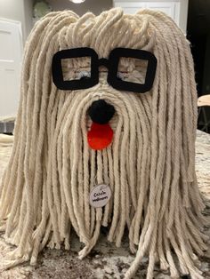 a white dog with glasses and a red ball in its mouth is sitting on the counter