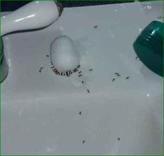 a close up of a toothbrush on a sink with some stuff in front of it