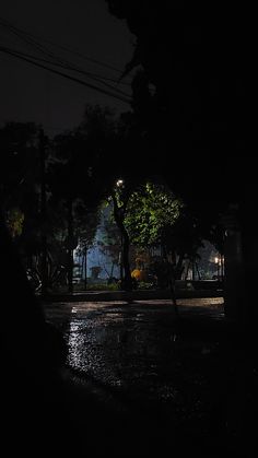 a street at night with the lights on and trees in the dark, lit up