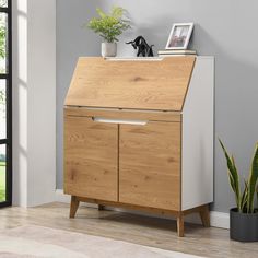 a wooden cabinet with two drawers and a potted plant next to it on the floor