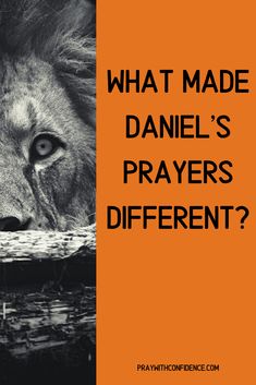 a lion with the words what made daniel's prayer different?