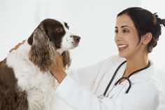 a woman with a stethoscope is petting a dog