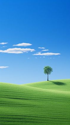 a lone tree stands alone in the middle of a green field under a blue sky