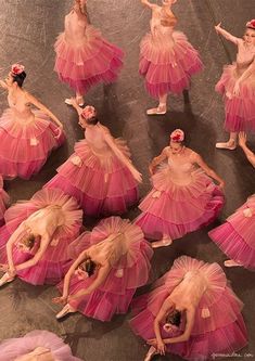 dancers in pink tutu skirts are performing on stage