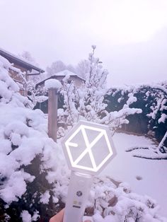 a snow covered yard with trees and bushes in the foreground is a white light that appears to be an x sign