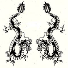 two black and white dragon tattoos