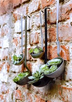 three succulents are hanging on a brick wall with metal hooks holding them