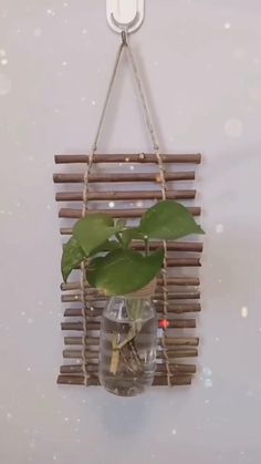 a plant in a glass vase hanging on a wall