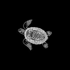 a black and white drawing of a turtle on a dark background with words written in it