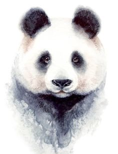 a watercolor painting of a panda bear's face