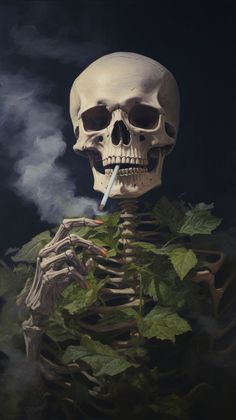 Skeleton with cigarette nature accessories sculpture. | premium image by rawpixel.com Skeleton Holding Something, Iphone Wallpaper Skull, Iphone Wallpaper Halloween, Skeletal Art, Chunky Sketchbook, Skeleton Reference, Wallpaper Skeleton, Skeleton Painting, Halloween Iphone Wallpaper