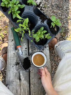 a person holding a cup of coffee on top of a wooden table with potted plants