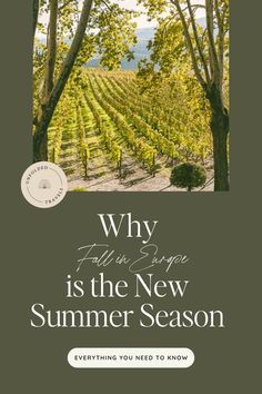 the cover of why wine is the new summer season, with trees and vines in the background